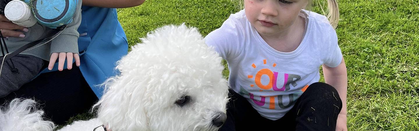 Photo: child with one of our therapy dogs (Patrick) at Kiddlywinks Nursery, Penrith